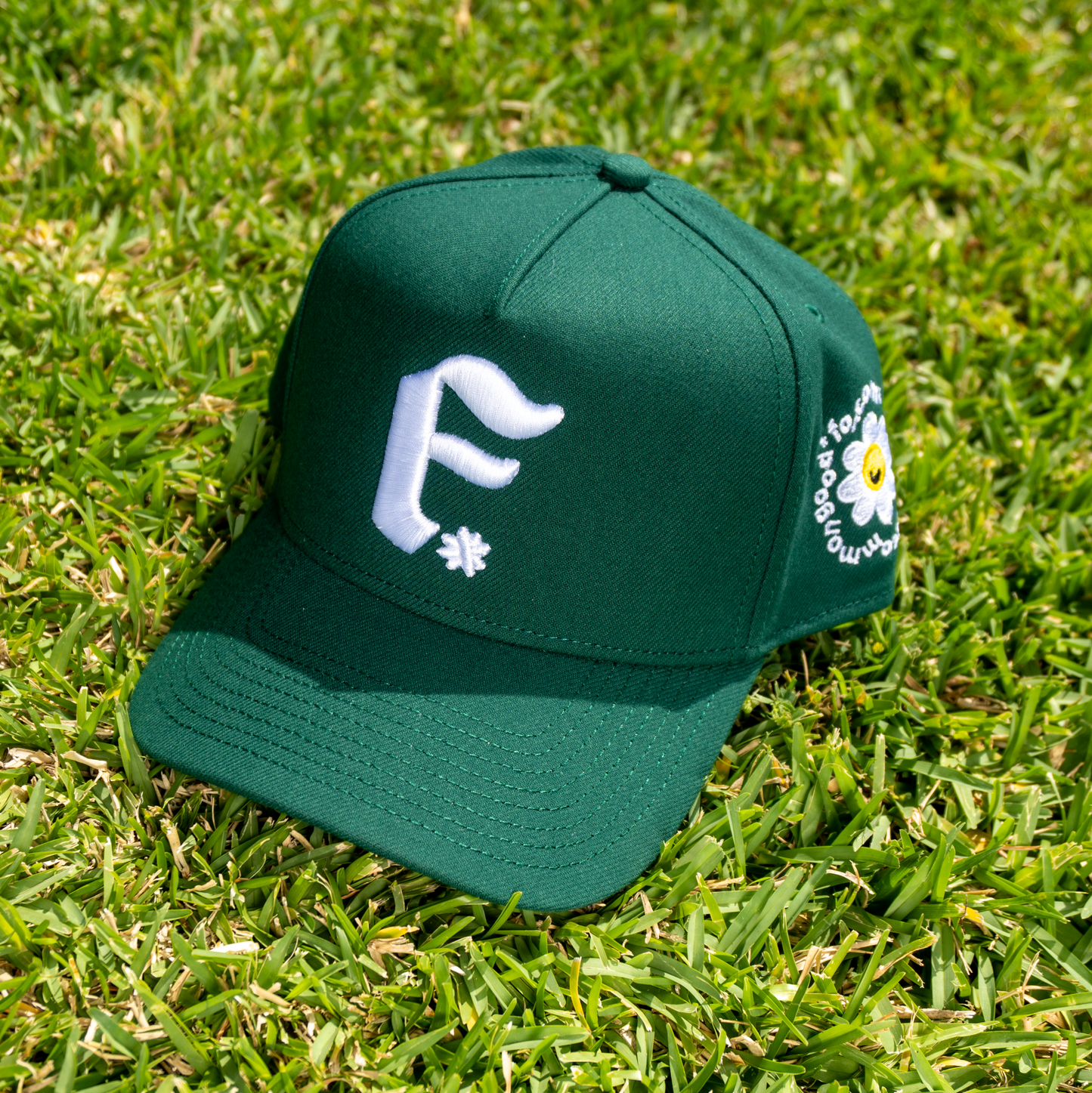 Forest Fall FCG Snapback