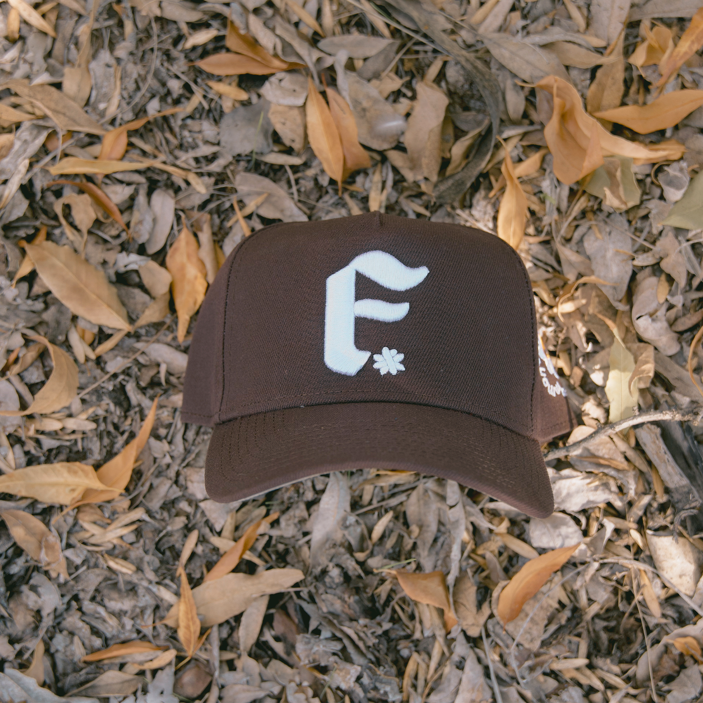 F* - 5 Panel Snapback